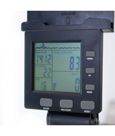 Remo Indoor BH Kingston (semiprofesional)