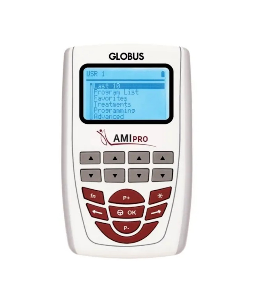 Globus AMI Pro